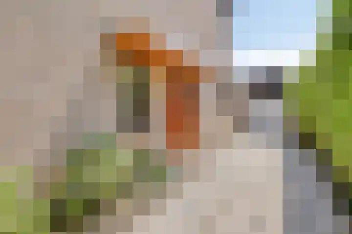 Onderdijk 68 Hendrik-Ido-Ambacht thumbnail 8