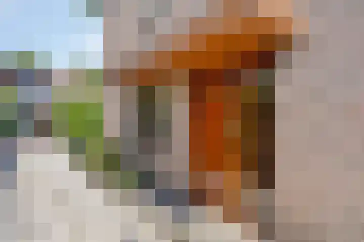 Onderdijk 68 Hendrik-Ido-Ambacht thumbnail 9