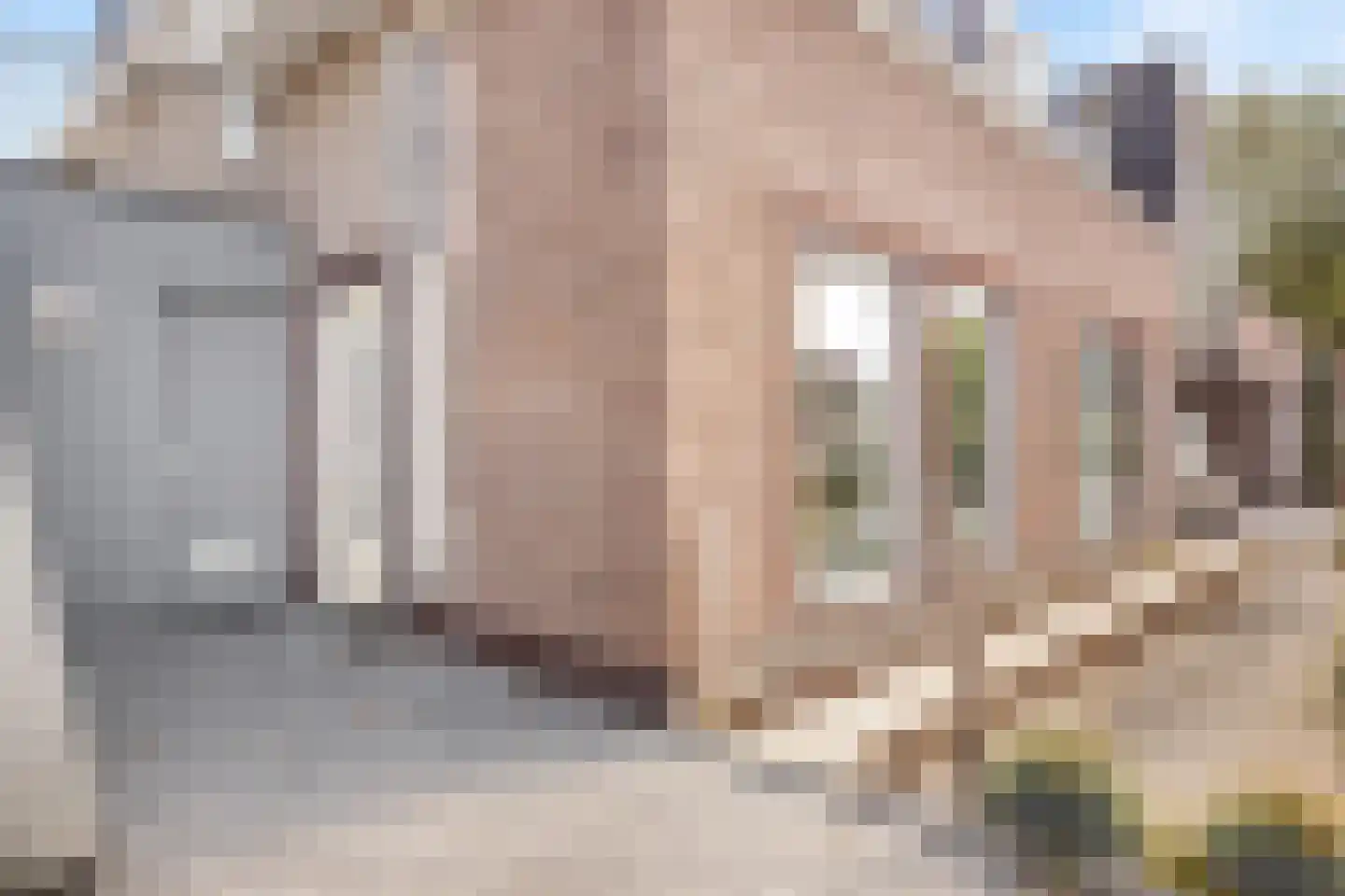 Onderdijk 99 Hendrik-Ido-Ambacht thumbnail 9