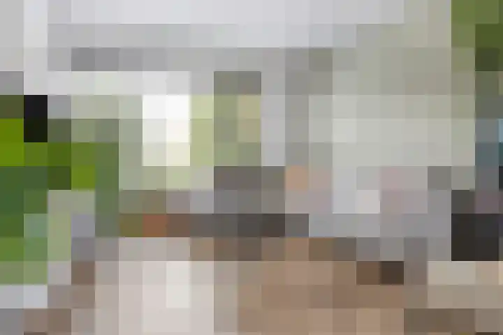 Onderdijkserijweg 17 Heerjansdam thumbnail 10