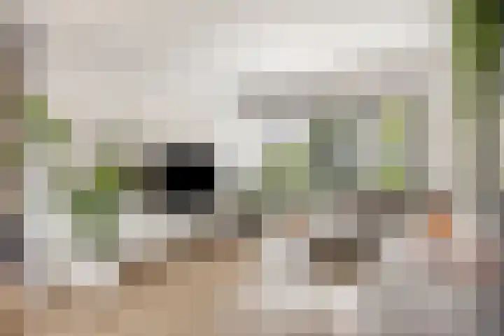 Onderdijkserijweg 17 Heerjansdam thumbnail 12