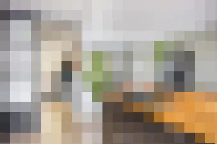 Onderdijkserijweg 17 Heerjansdam thumbnail 13