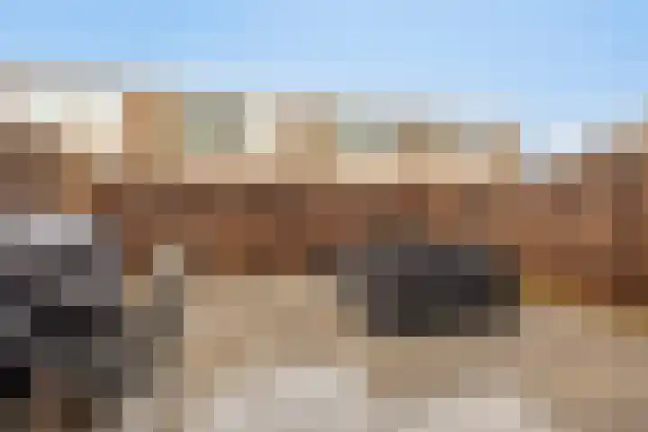 Onderdijkserijweg 17 Heerjansdam thumbnail 29