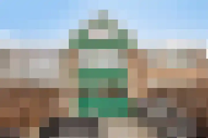 Onderdijkserijweg 17 Heerjansdam thumbnail 31