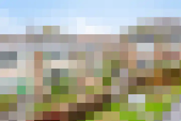 Onderdijkserijweg 17 Heerjansdam thumbnail 32