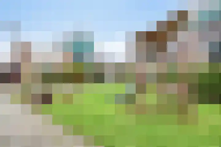 Onderdijkserijweg 17 Heerjansdam thumbnail 36
