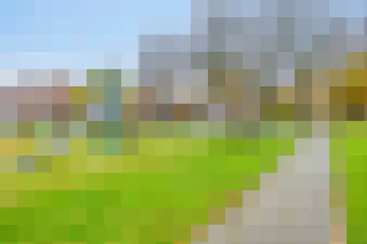 Onderdijkserijweg 17 Heerjansdam thumbnail 38