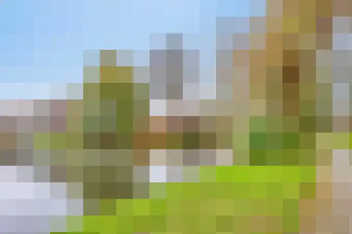Onderdijkserijweg 17 Heerjansdam thumbnail 39