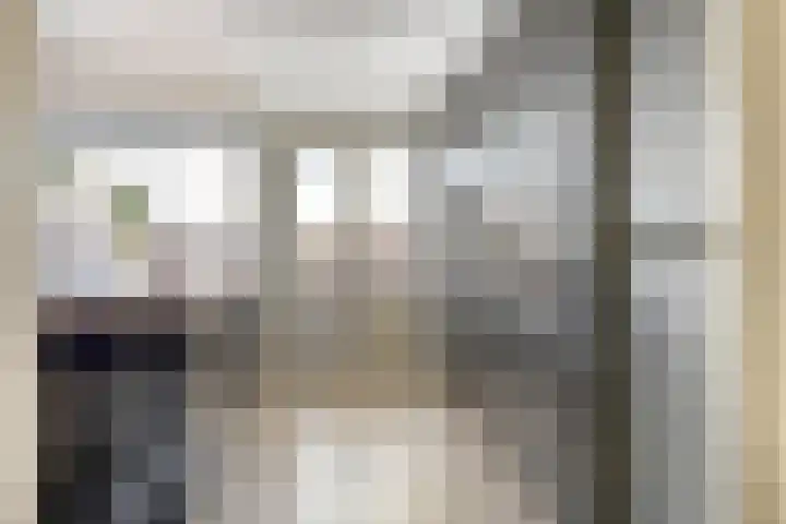 Onderdijkserijweg 17 Heerjansdam thumbnail 4