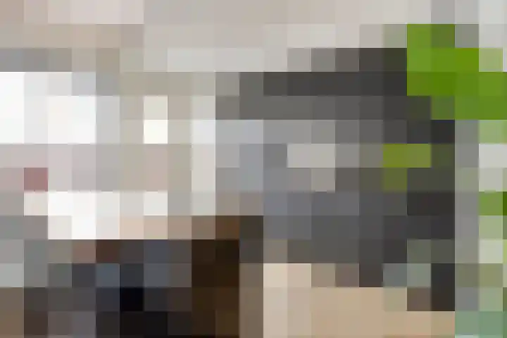 Onderdijkserijweg 17 Heerjansdam thumbnail 5