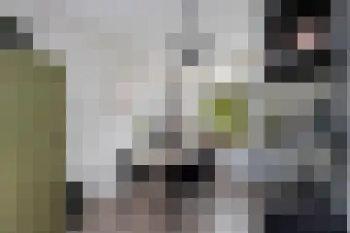 Onderdijkserijweg 217 Zwijndrecht thumbnail 11