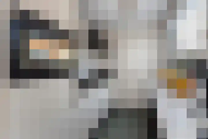 Onderdijkserijweg 217 Zwijndrecht thumbnail 13