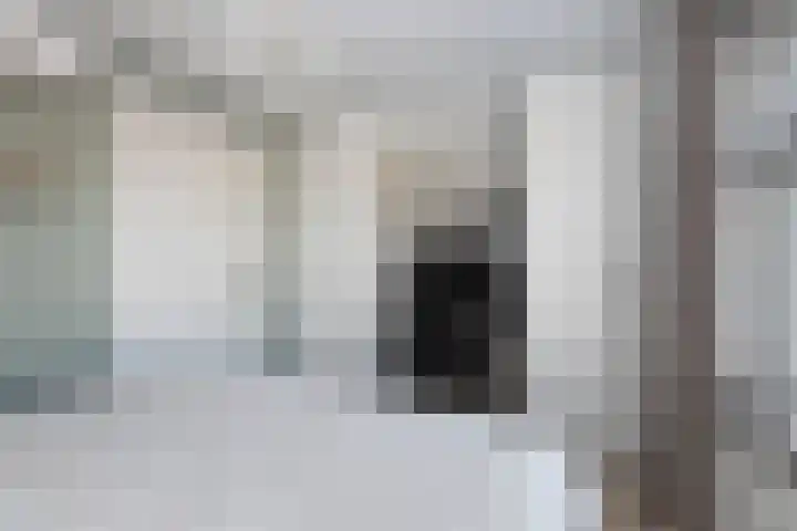 Onderdijkserijweg 217 Zwijndrecht thumbnail 17