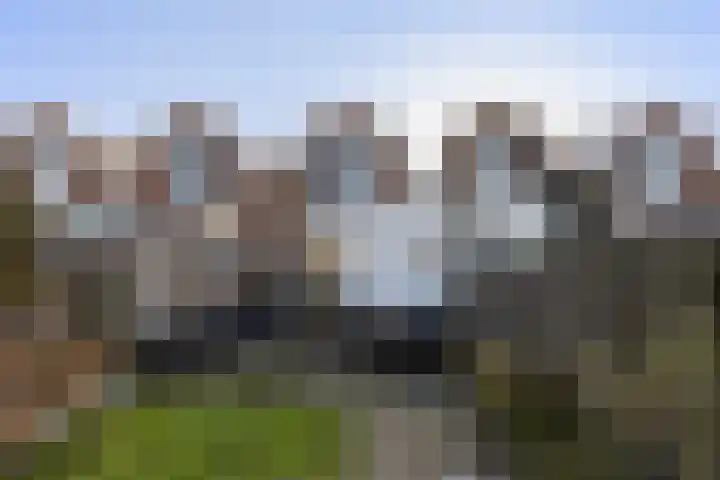 Onderdijkserijweg 217 Zwijndrecht thumbnail 28