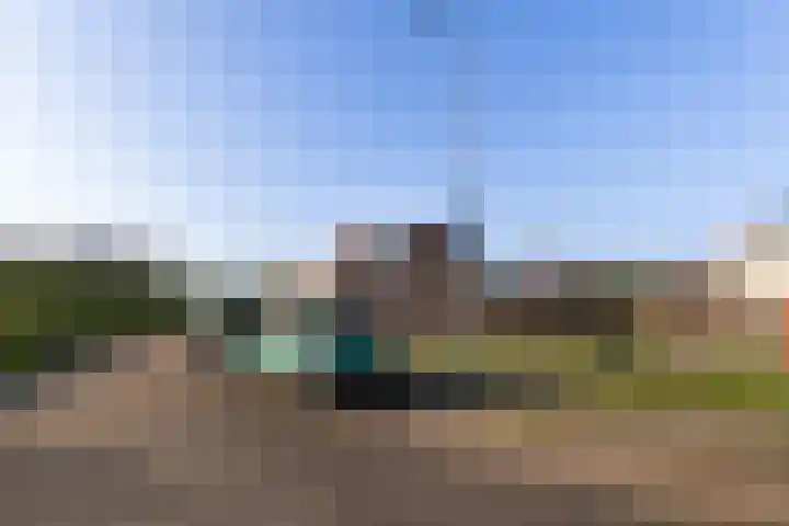 Onderdijkserijweg 217 Zwijndrecht thumbnail 29