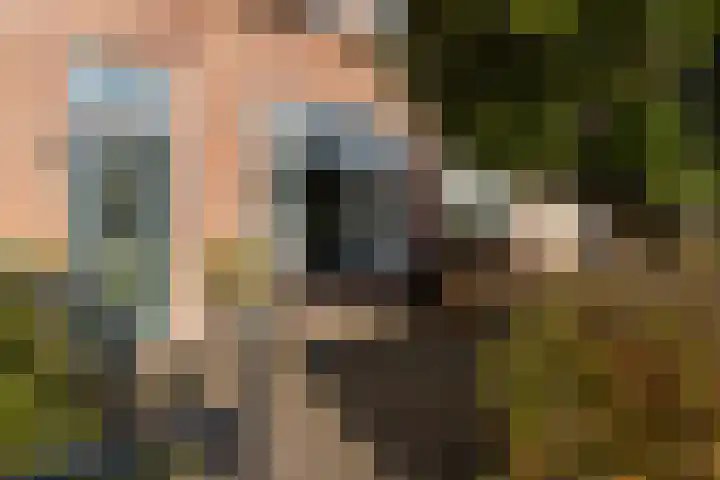 Onderdijkserijweg 217 Zwijndrecht thumbnail 4