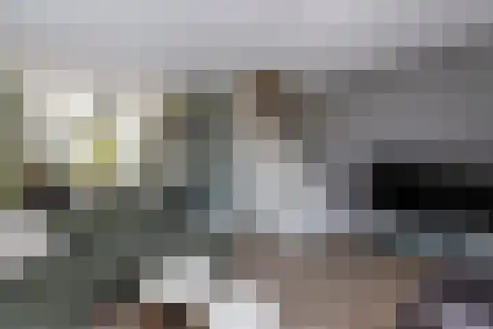 Onderdijkserijweg 217 Zwijndrecht thumbnail 7