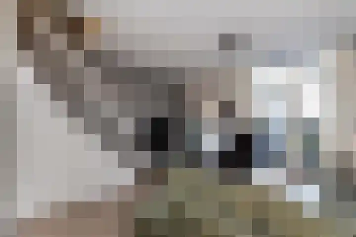 Onderdijkserijweg 217 Zwijndrecht thumbnail 8