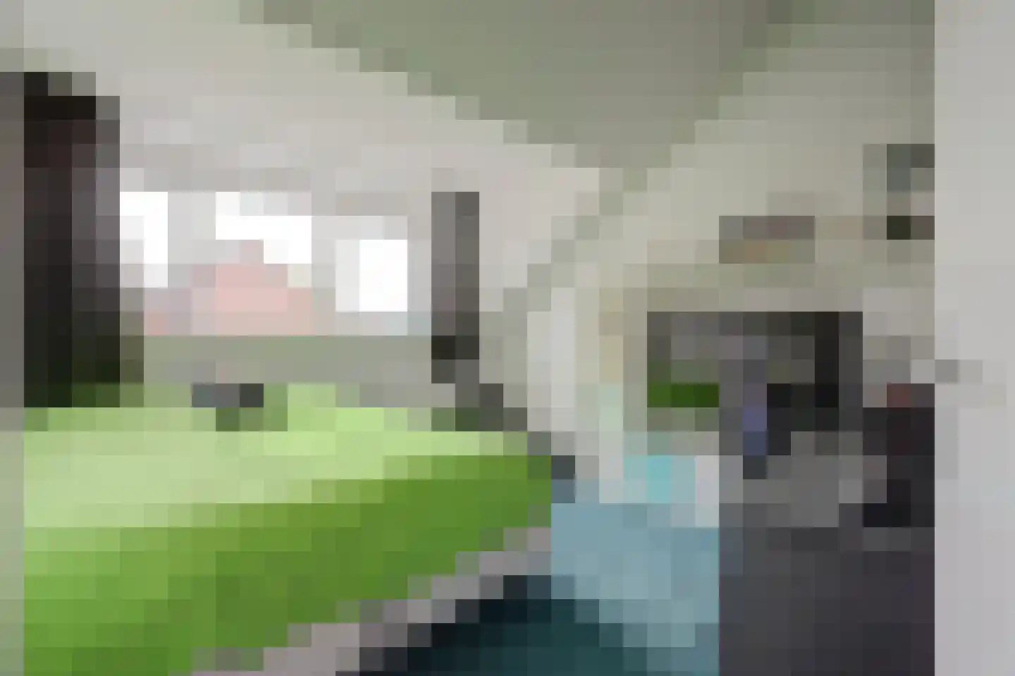 Onderdijkserijweg 253 Zwijndrecht thumbnail 26