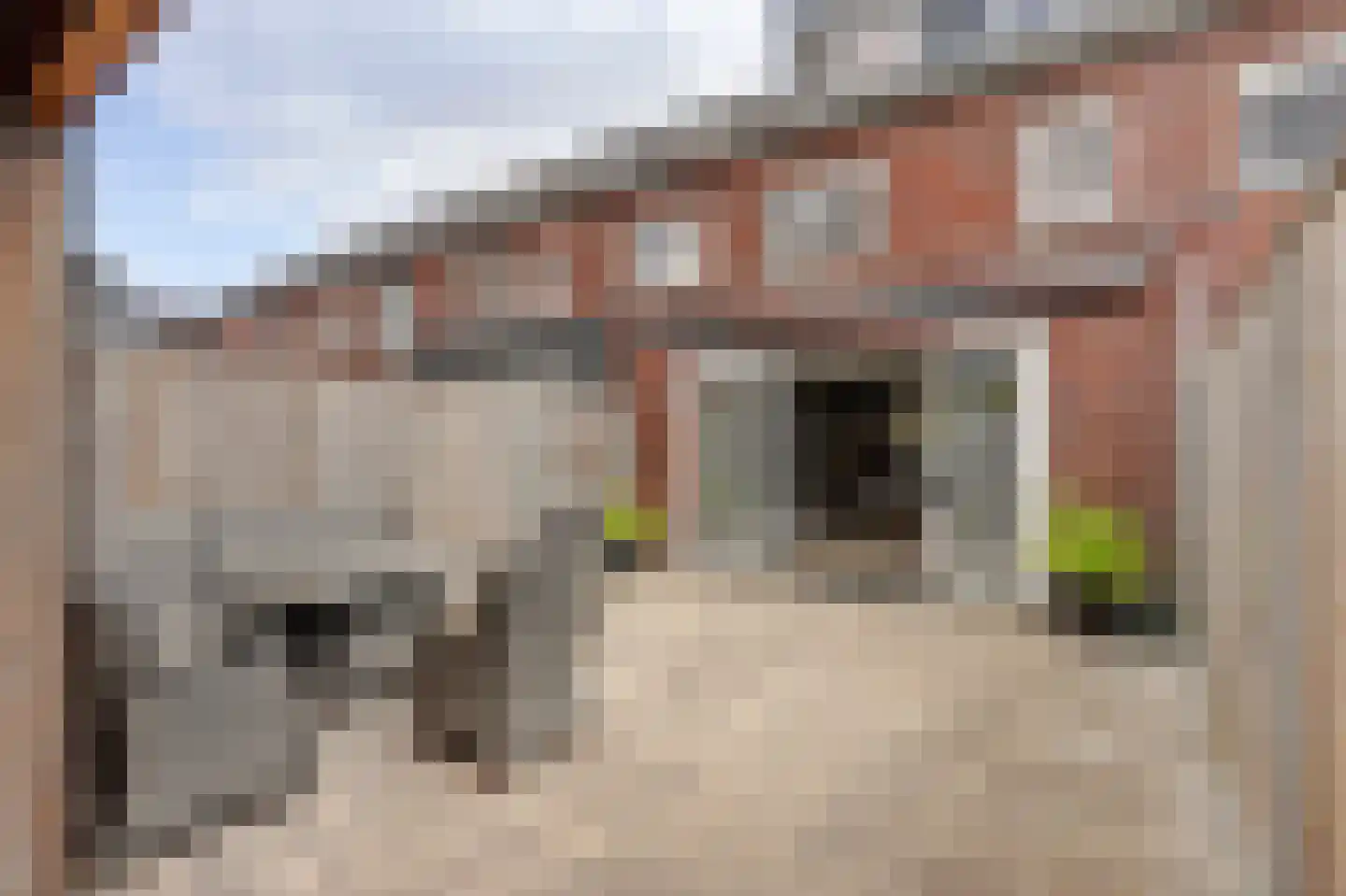 Onderdijkserijweg 253 Zwijndrecht thumbnail 4