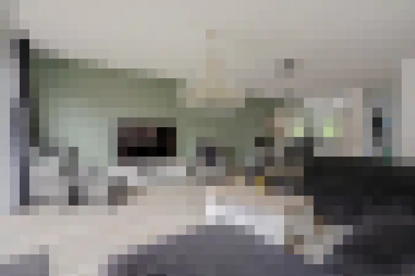 Onderdijkserijweg 253 Zwijndrecht thumbnail 9