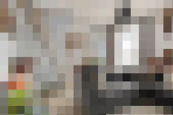 Onderdijkserijweg 269 Zwijndrecht thumbnail 11