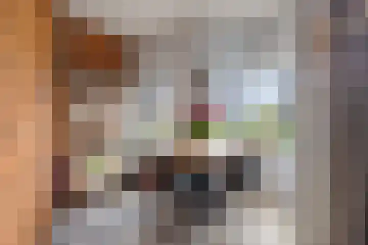 Onderdijkserijweg 269 Zwijndrecht thumbnail 13