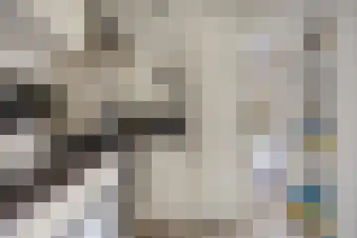 Onderdijkserijweg 269 Zwijndrecht thumbnail 16