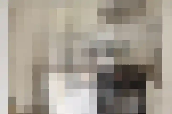 Onderdijkserijweg 269 Zwijndrecht thumbnail 17