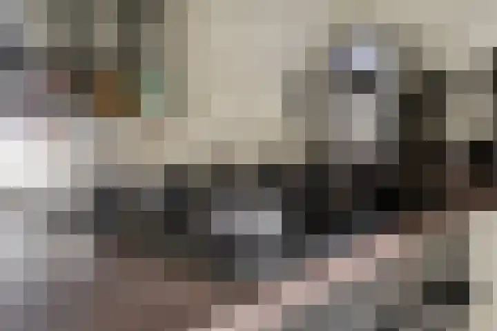 Onderdijkserijweg 269 Zwijndrecht thumbnail 18