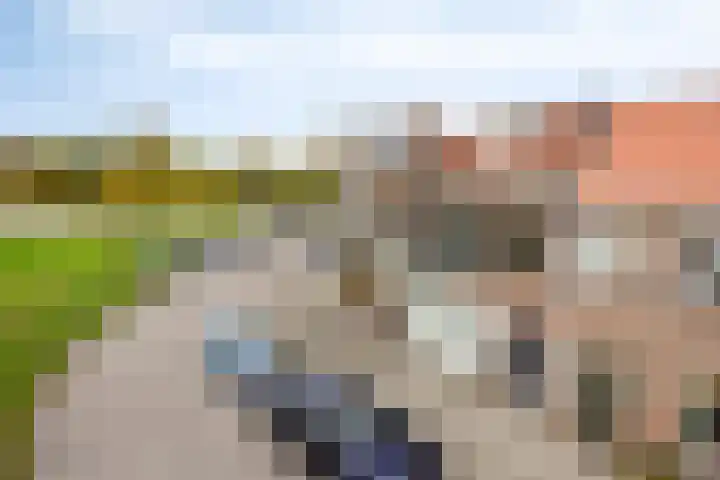 Onderdijkserijweg 269 Zwijndrecht thumbnail 24