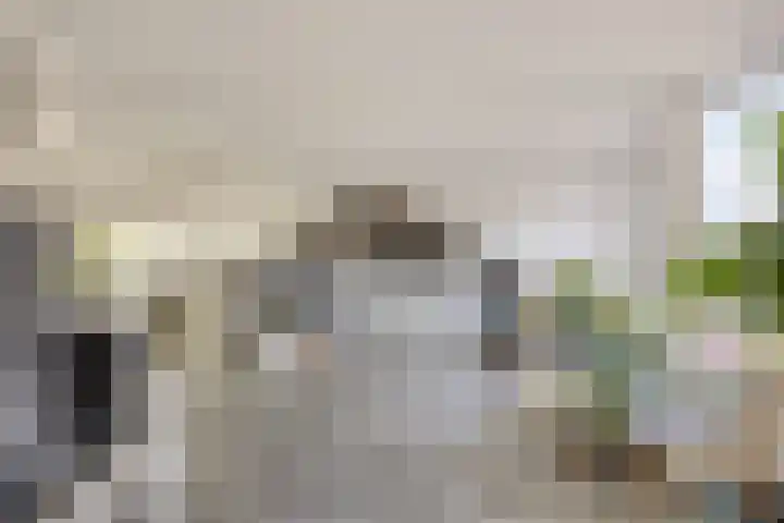 Onderdijkserijweg 269 Zwijndrecht thumbnail 32