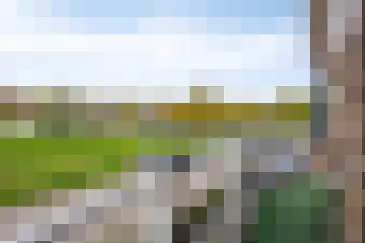 Onderdijkserijweg 269 Zwijndrecht thumbnail 37