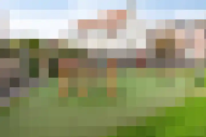 Onderdijkserijweg 269 Zwijndrecht thumbnail 39