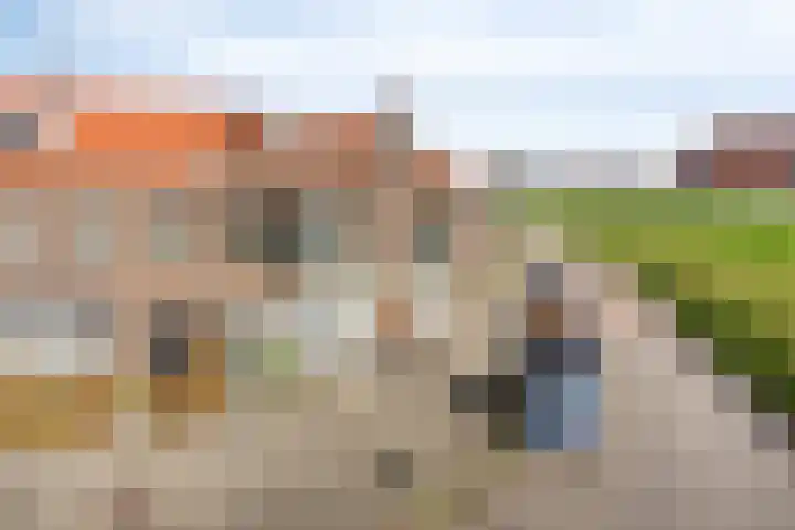Onderdijkserijweg 269 Zwijndrecht thumbnail 6