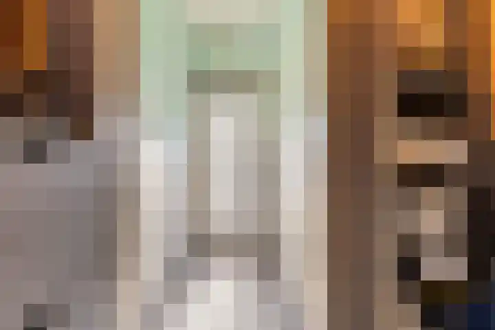 Onderdijkserijweg 269 Zwijndrecht thumbnail 8