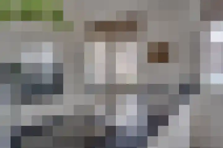 Onderdoor 178 Houten thumbnail 10