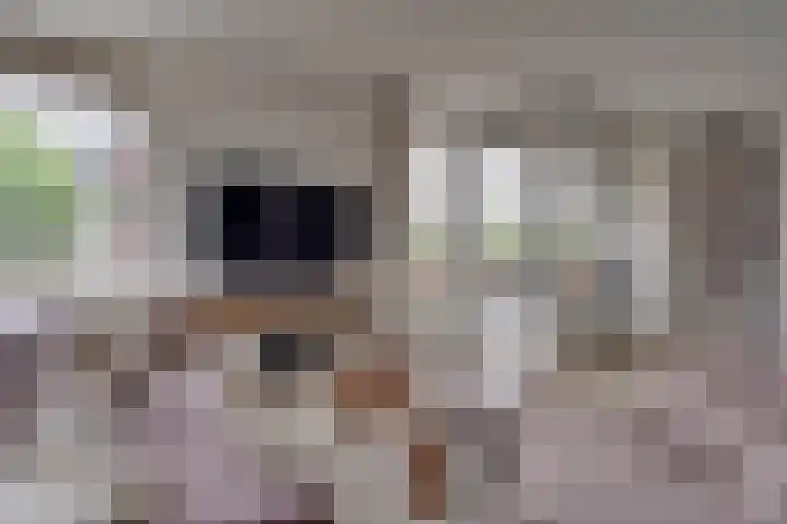 Onderdoor 178 Houten thumbnail 13