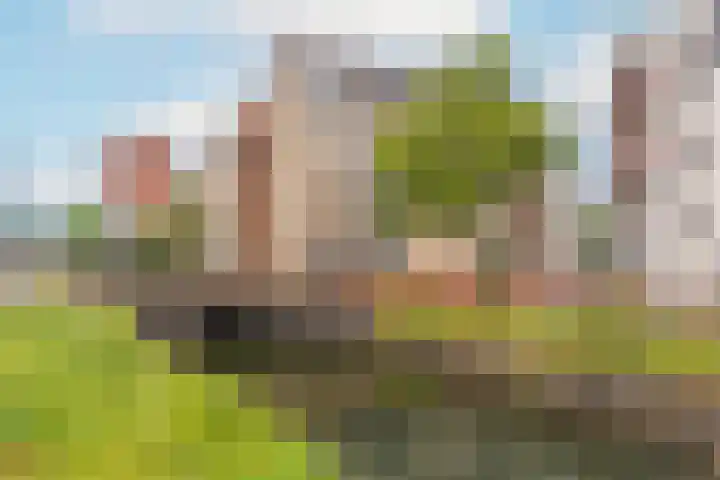Onderdoor 178 Houten thumbnail 25