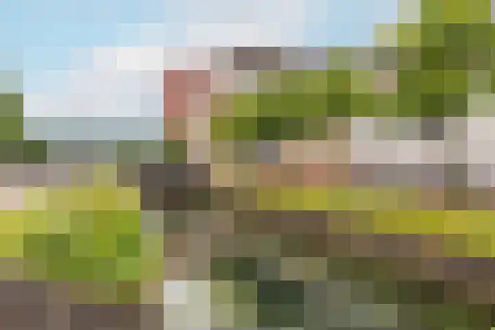 Onderdoor 178 Houten thumbnail 28