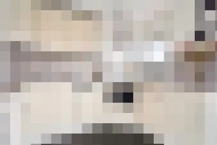 Onderdoor 190 Houten thumbnail 29
