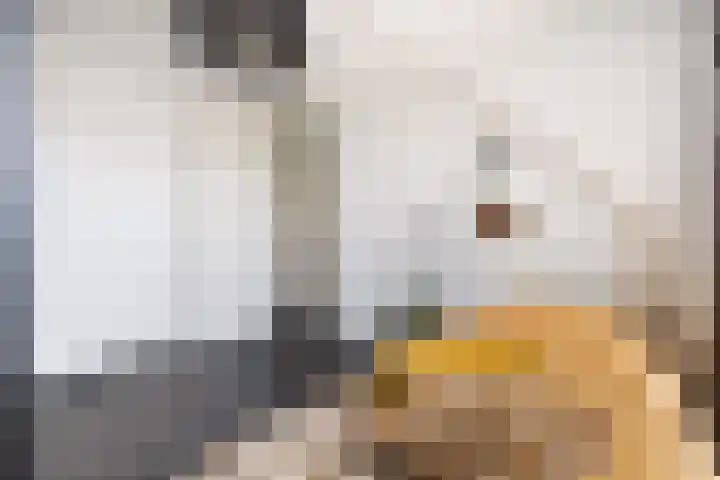 Onderdoor 190 Houten thumbnail 33