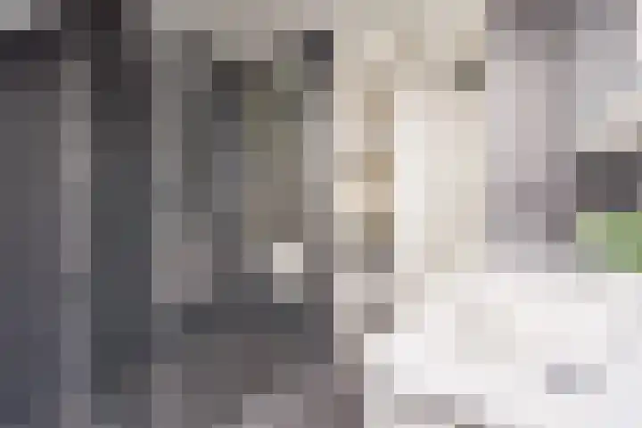 Onderdoor 190 Houten thumbnail 38