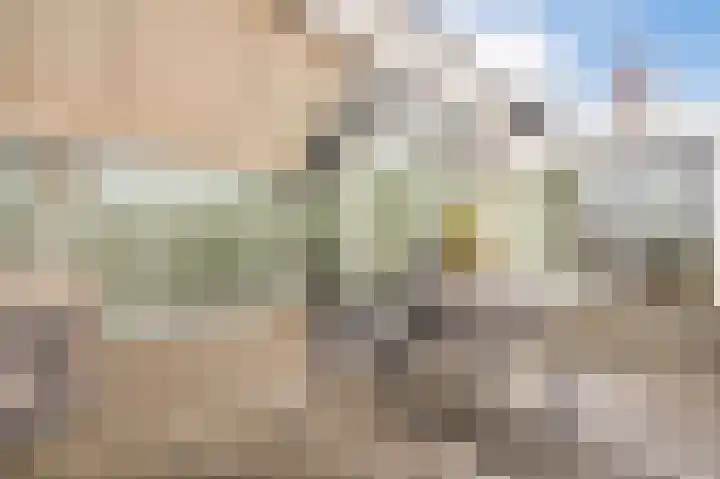 Onderdoor 190 Houten thumbnail 51