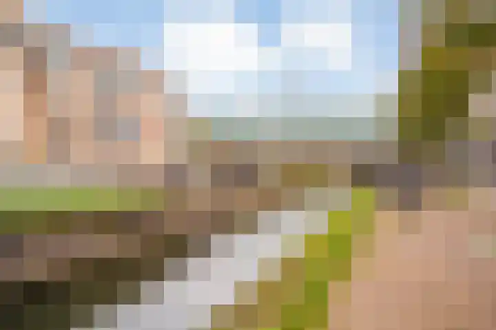 Onderdoor 190 Houten thumbnail 61