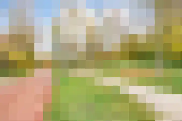 Onderdoor 190 Houten thumbnail 64