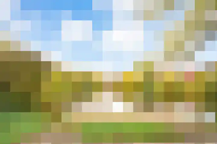 Onderdoor 190 Houten thumbnail 65
