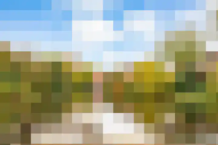 Onderdoor 190 Houten thumbnail 66