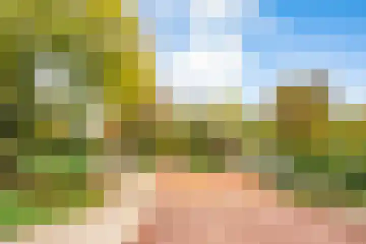 Onderdoor 190 Houten thumbnail 68