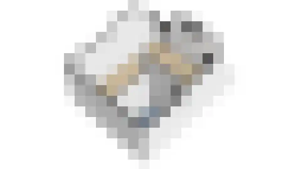 Onderdoor 5 302 Houten thumbnail 15